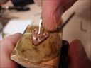 Dateiname=DSC02266_prot.jpg
Dateigröße=104KB
Abmessungen: 1200x900
hinzugefügt am: 17. Februar 2015 DSC02266_prot.jpg